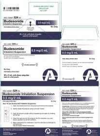 BUDESONIDE INH 0.5MG/2ML