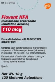 FLOVENT HFA W/DOS COUNT 110MCG