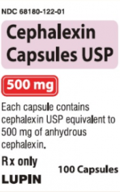 CEPHALEXIN CAP 500MG