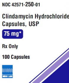 CLINDAMYCIN HCL CAPS, USP 75MG