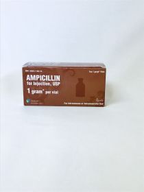 AMPICILLIN SOD VL 1 GM/10 SAG